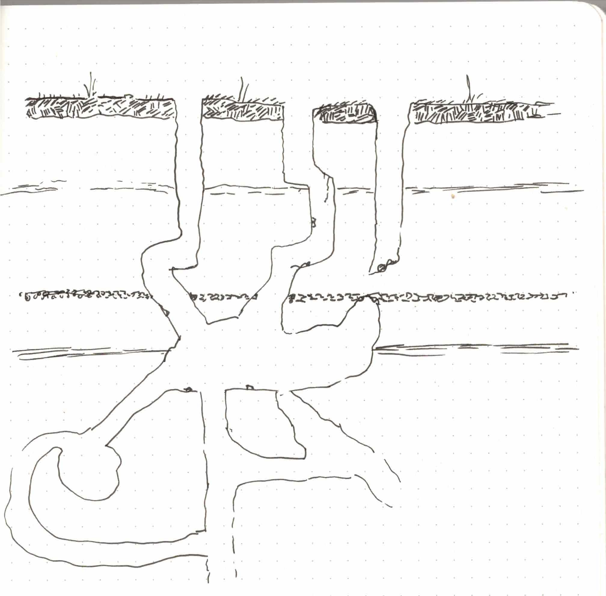 A drawing of a cross section of the ground showing multiple tunnels coming down from the surface, branching off, joining, and then branching off again.