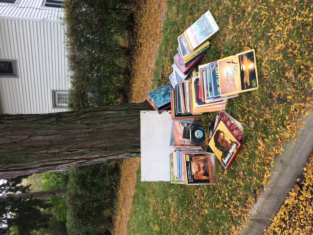 A pile of records at the base of a tree